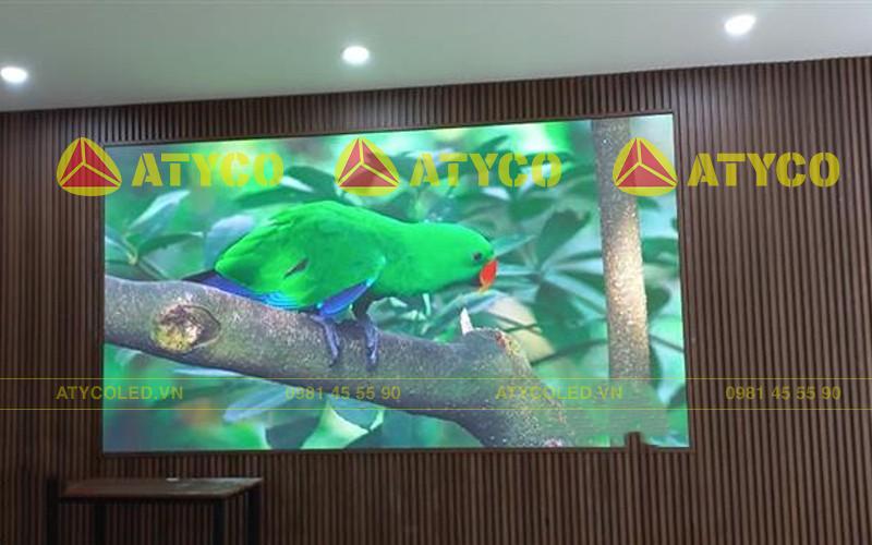 màn hình LED showroom ô tô