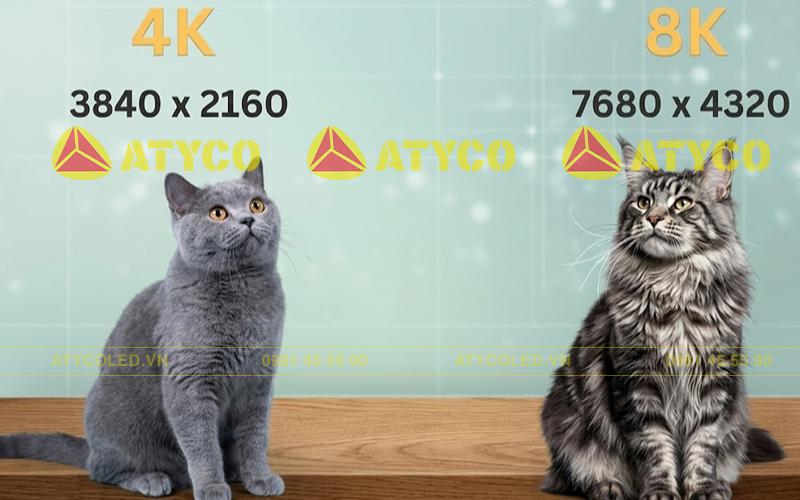 màn hình LED 4K và 8K màn hình LED 4K và 8K